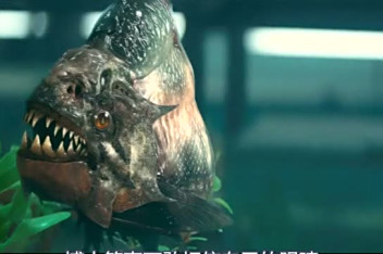 3d食人鱼3_百度视频搜索