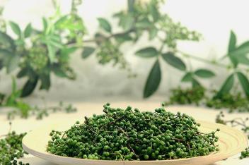 青花椒酱的做法及配方 百度视频搜索