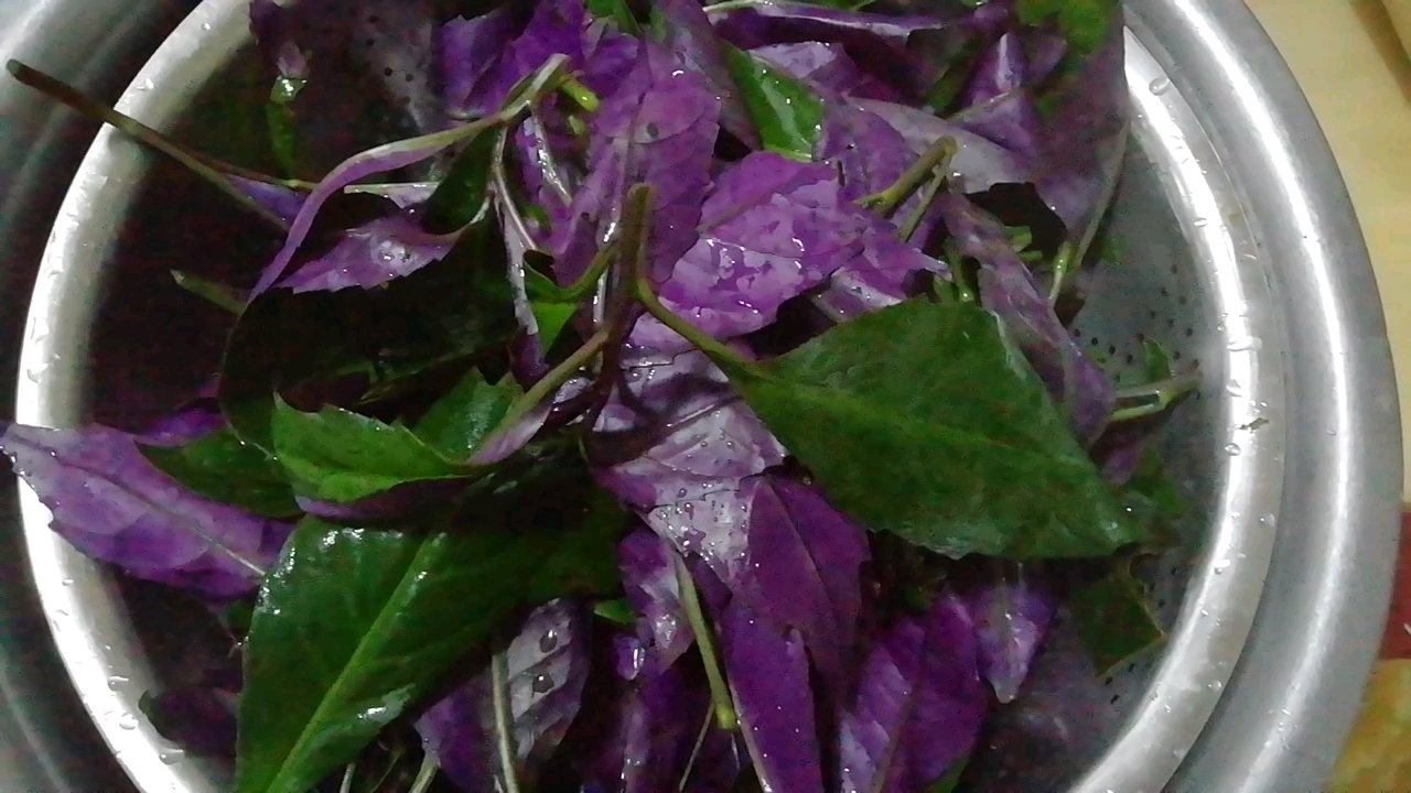 观音菜拌什么炒好吃?