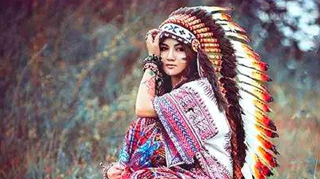 印第安人的食物—美洲野牛,一种直接影响印第安人的动物