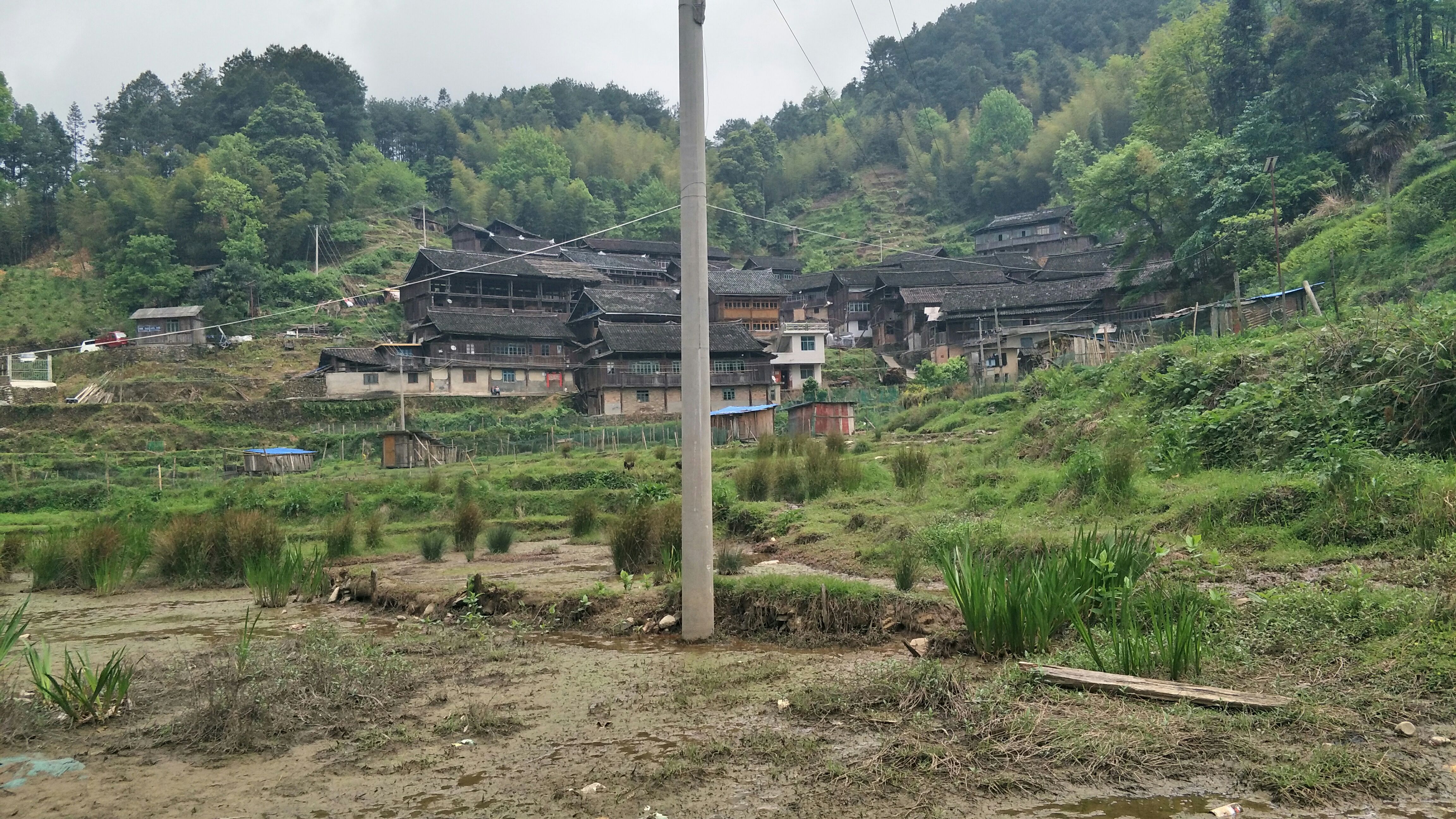 农村风景图片真实照片图片