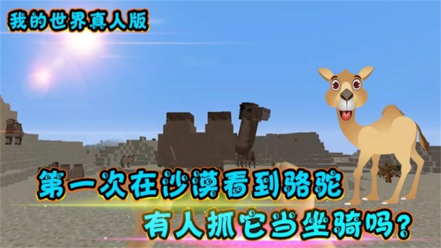 我的世界真人版